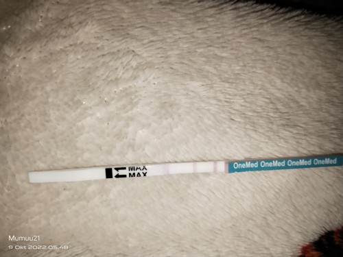 Bun ini positif atau negatif ya soal nya masih samar samar