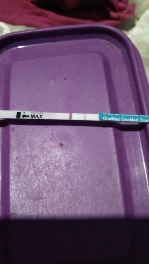 Assalamualaikum bun..umur kehamilan udah 2 bulan tpi kok kaya gak ngerasain apa apa yaa??