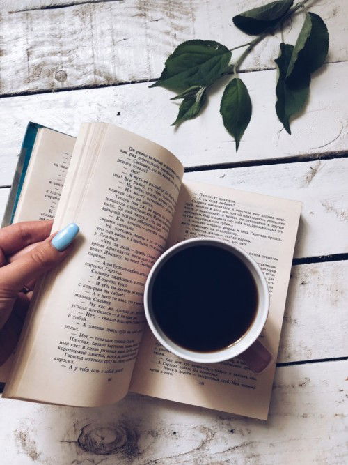 classification essays