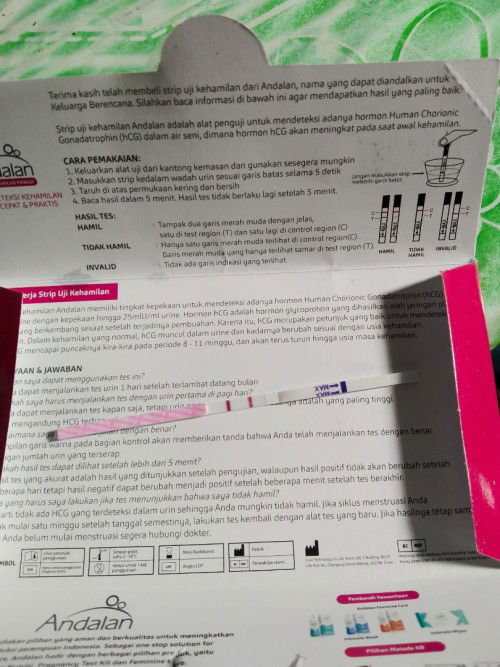 Kapan waktu terbaik periksa kandungan?