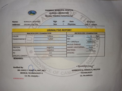 Urinalysis Result