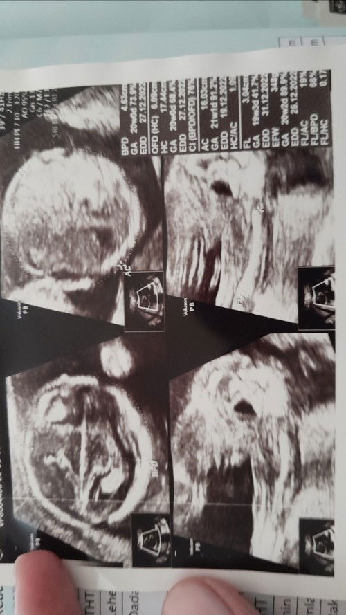 halo bun! tebak yuk bun wkwk