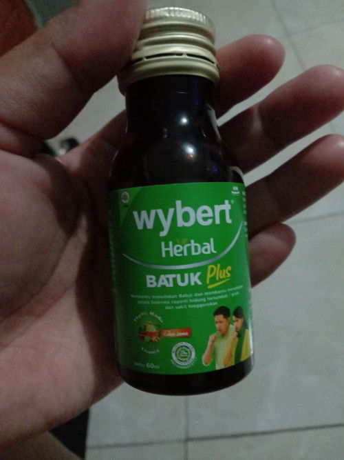 Obat batuk apakah yg aman untuk ibu hamil ?