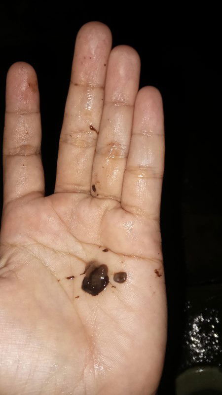 setelah gak jadi kiret dan di observasi lagi 2 minggu..