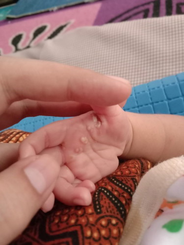 Seputar bayi
