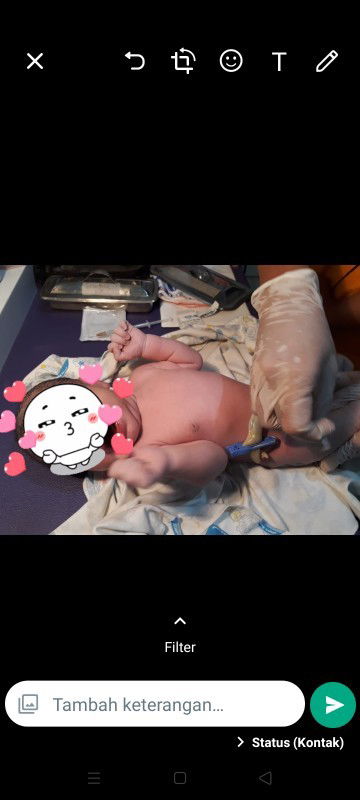 Launching di usia 41w1d