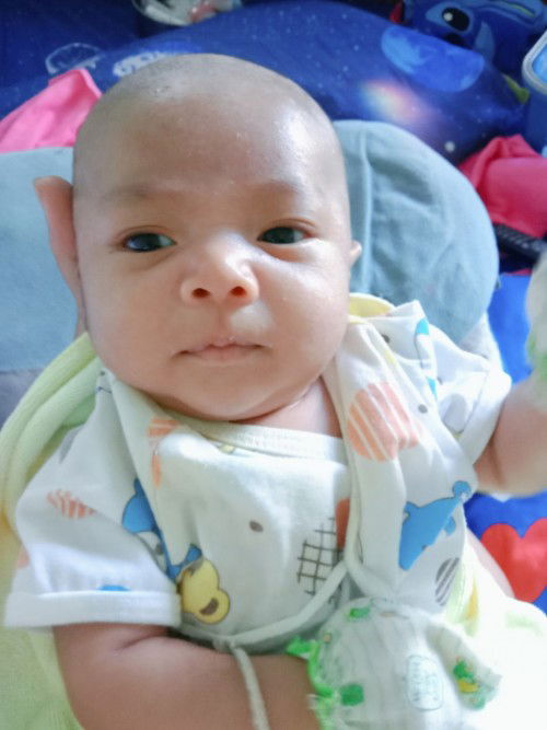 ลูกบ้านไหนอ้อนบ้างคะบ้านนี้ร้องตลอดเลยค่ะ