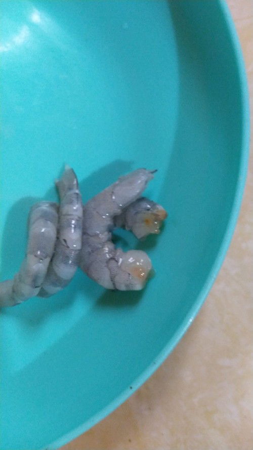 Jenis udang untuk mpasi