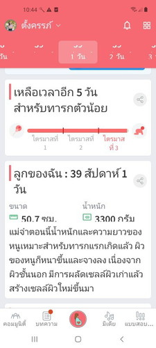 อยากเจอเด็กน้อย