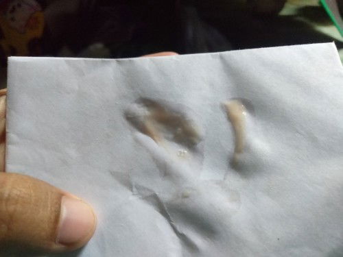 Tanda akan melahirkan