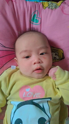 สอบถามแพมเพิส