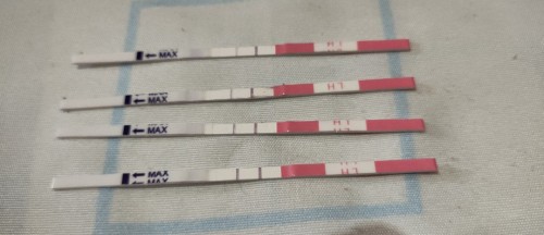 ovulation test