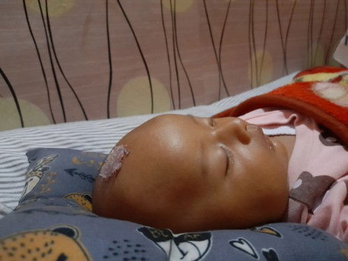 Bawang merah atau brambang