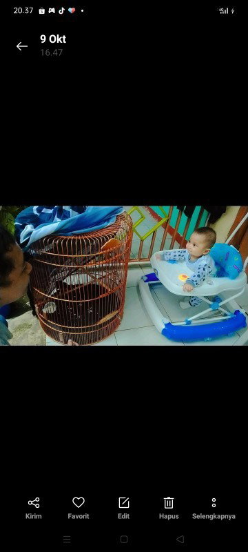 Penggunaan Baby walker