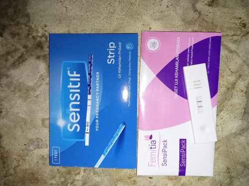 Tanggal 13 kemaren testpack hasilnya garis 2. Tapi malah keluar darah seperti mens.
