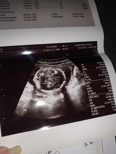 ทีมมีนา66จ้าแม่