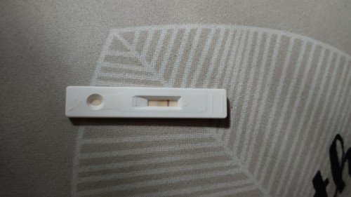 Pregnancy Test