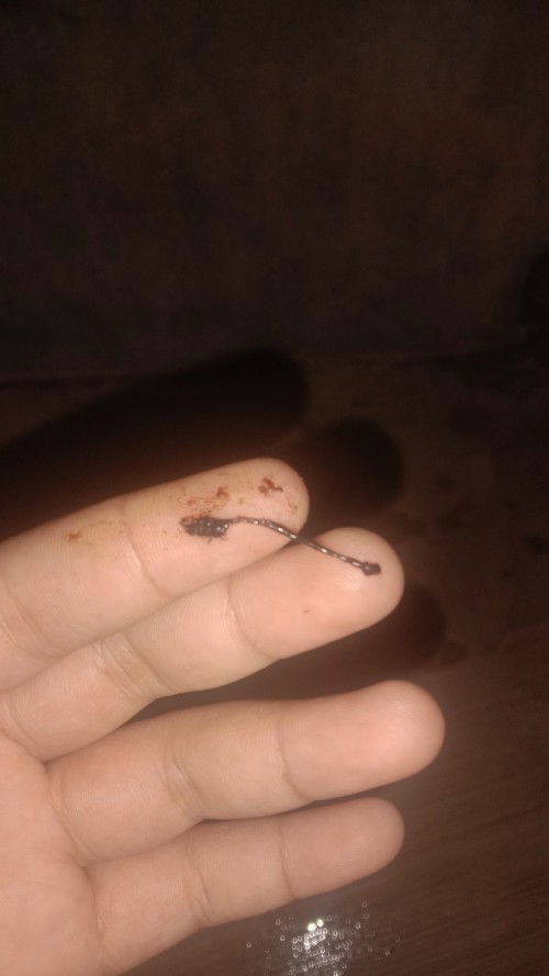 Bunda2 mau tanya dong