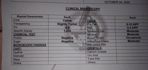 Tanong ko lang po kung may UTI po ako base po sa result ng Urinalysis kopo