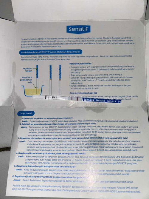 Hamil tanpa mual dan muntah, apa normal?