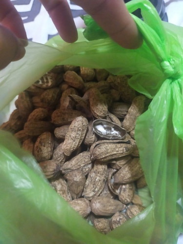 Mani/Peanut