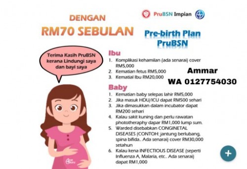 Pelan perlindungan ibu dan bayi dalam kandungan