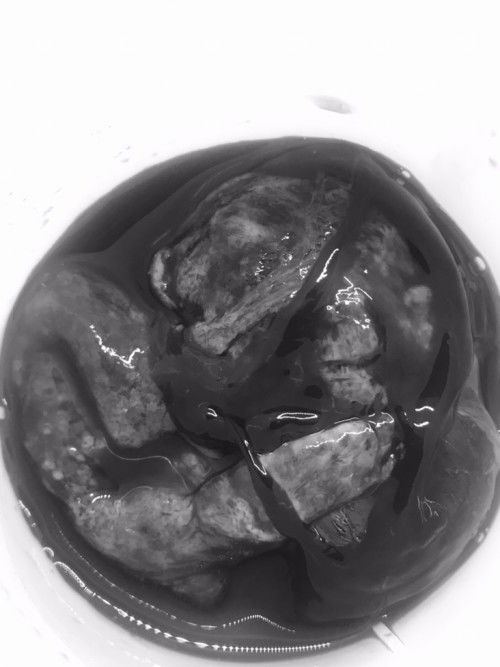 เบบี๋ตัวน้อยจากไป หลุดเต็มเวอร์ชั่น 😥