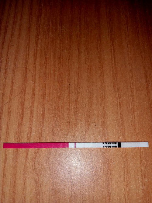 Saya terakhir haid tanggal 24 September 2022 skrng saya telat haid bulan ini