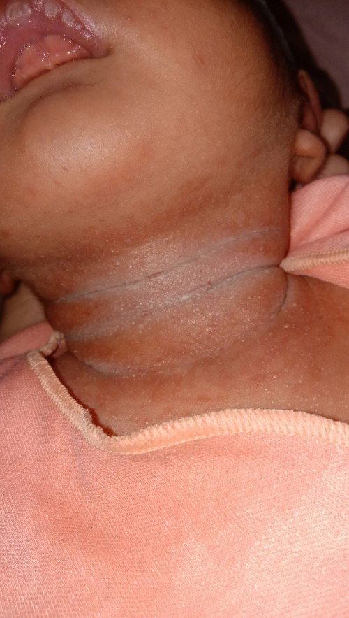 Bantu jawab ya bun🙏🙏