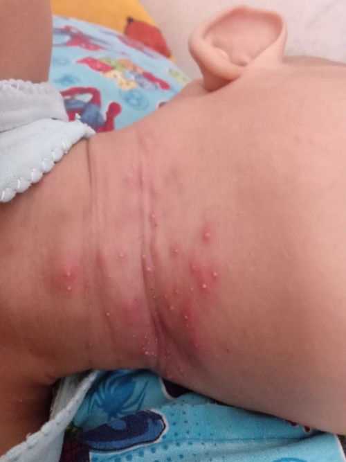 Tolong yg tau jawab ya