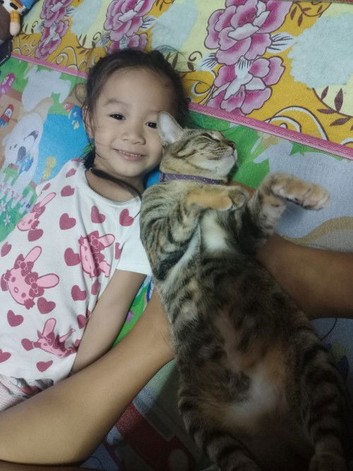 บ้านไหนมีพี่เลี้ยงแมวบ้างค่ะ😺