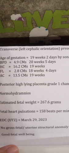 Sino marunong magbasa ng ultrasound?
