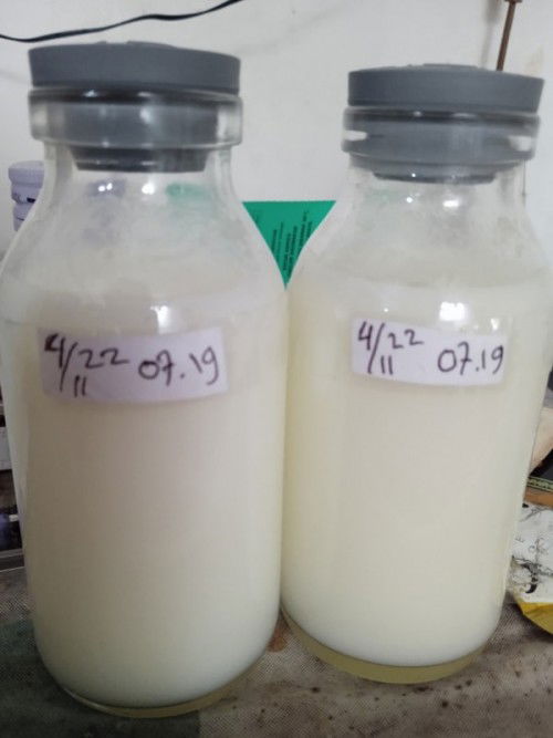 Masya Allah 🤲😇
Yuk saling berbagi tips menyusui dsbnya , agar menambah pengetahuan 🙏😊🥰