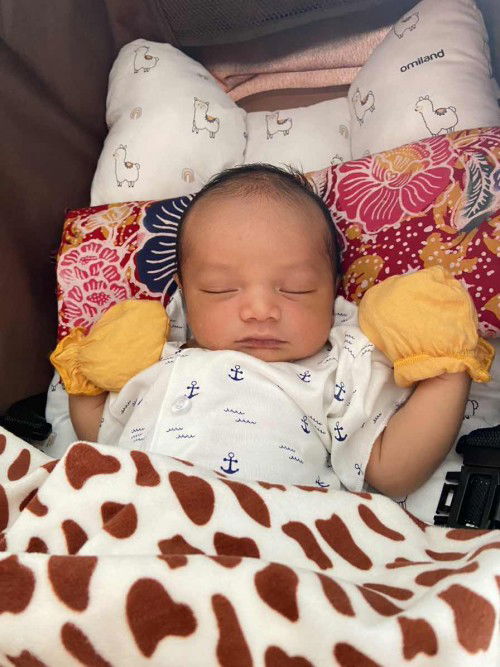 HPL 12 Nov Lahir 1 Nov