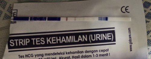 Apa tanda garis 2 gini ya bun.. Soalnya buram, saya blum wktunya haid tapi kurmg dari 3 hri lagi.