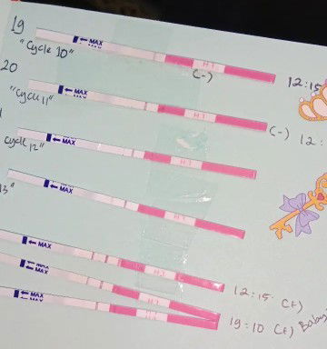 Promil dengan ovutest