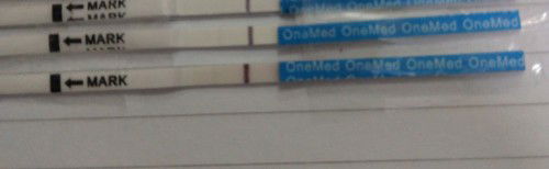 Bingung haid apa hamil