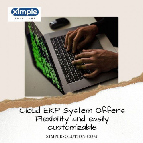 How Really Does Cloud ERP System Function?
