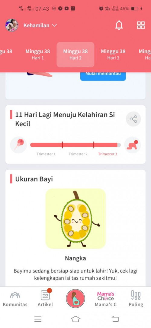 Belum ada kontraksi sma sekali