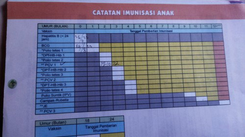 Imunisasi anak