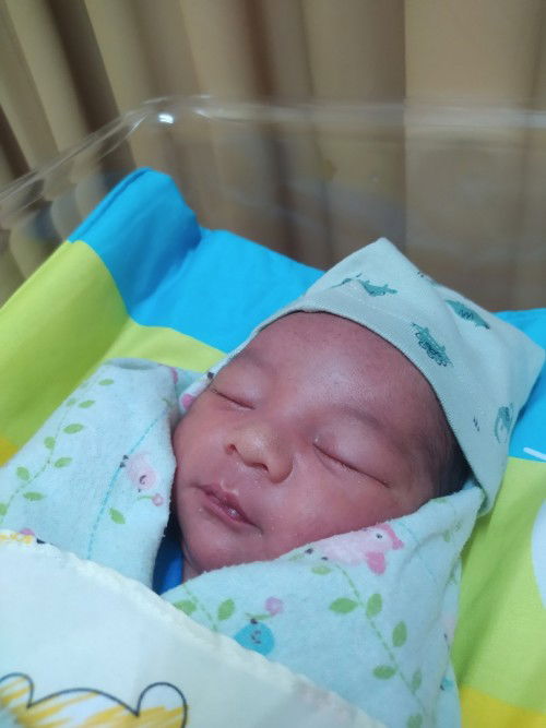 HPL 15 NOVEMBER 2022