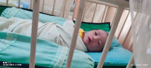 HPL 23 November 2022