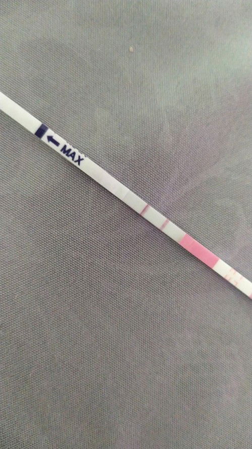 Promil dengan rutin test LH