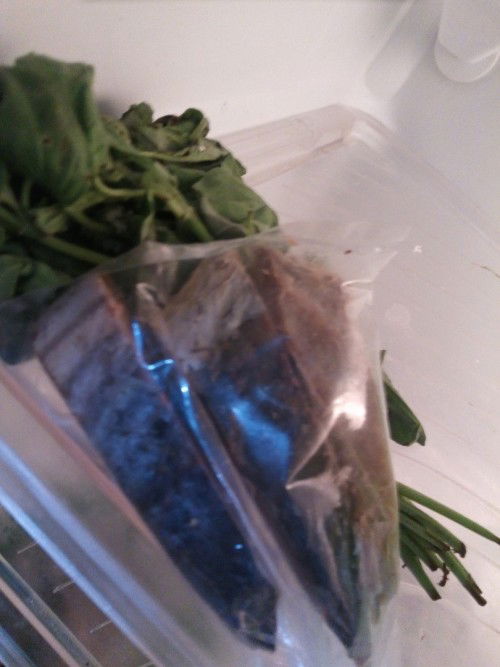 Busui mkn ikan asin boleh/tdk?