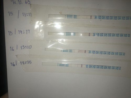 ตรวจไข่ตกขึ้นจางปล่อยได้เลยมั้ยคะ