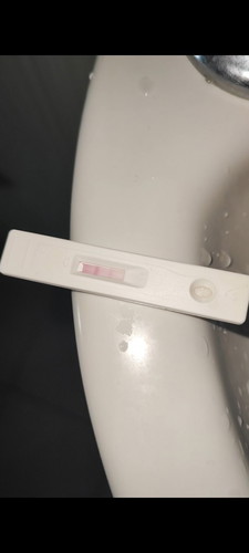 6 weeks and 6 days base on trandV