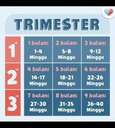 Maklumat usia kandungan