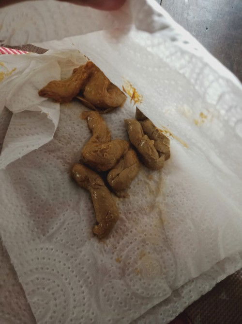 สอบถามหน่อยค่ะ