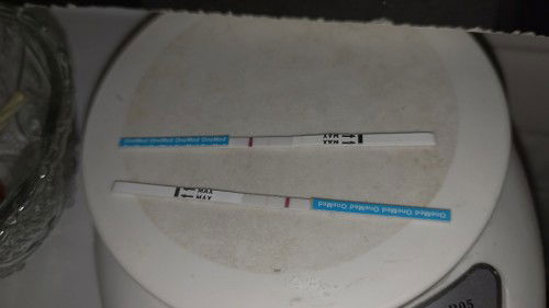 Tespek berubah dan php