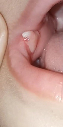 ใช่ร้อนในป่าวคะ